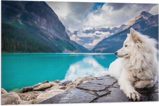 WallClassics - Vlag - Witte Hond liggend bij Bergen en Water - Samojeed - 90x60 cm Foto op Polyester Vlag