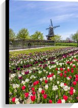 Canvas - Oerhollands Meerkleurig Tulpenveld bij Bruine Molen - 40x60 cm Foto op Canvas Schilderij (Wanddecoratie op Canvas)