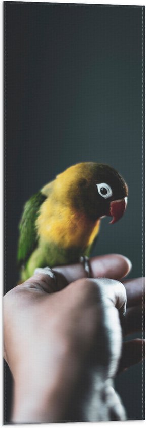 WallClassics - Vlag - Vogel op Hand - Zwartmaskeragapornis - 30x90 cm Foto op Polyester Vlag