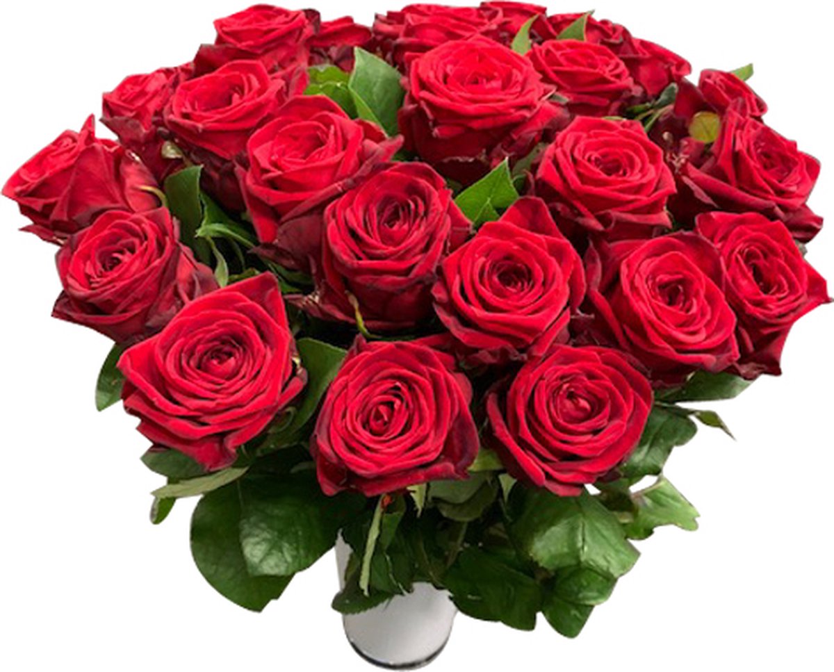 16 rode rozen boeket