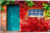 WallClassics - Tuinposter – Blauwe Deur met Gekleurde Bladeren - 75x50 cm Foto op Tuinposter (wanddecoratie voor buiten en binnen)