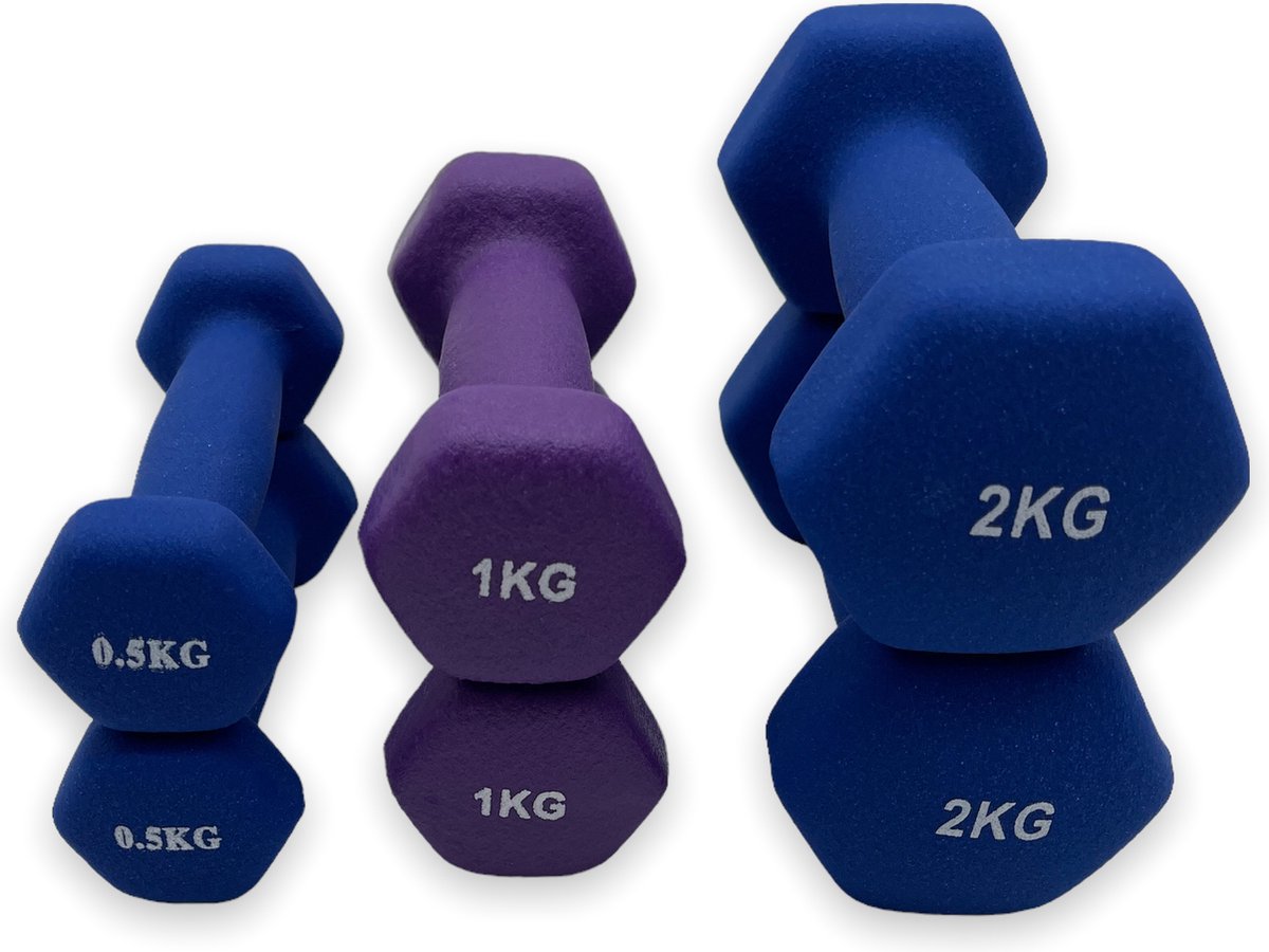 dumbells - Neopreen set 0,5 - 1 en 2 kg - dumbellset - fitness gewicht - blauw en paars