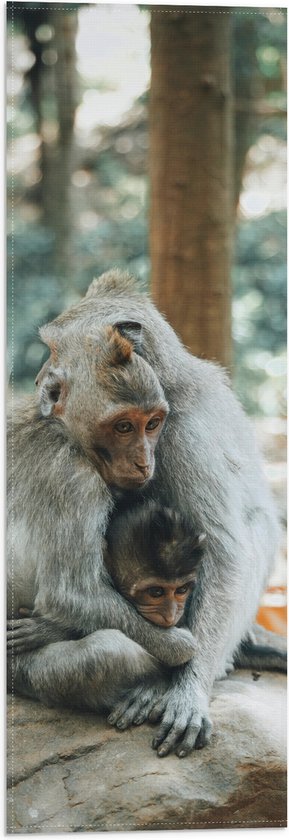 WallClassics - Drapeau - Couple de singes avec jeunes sur un tronc en bois - Photo 20 x 60 cm sur drapeau en polyester