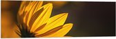 Vlag - Zijaanzicht van Gele Bloembladeren met Zonlicht - 120x40 cm Foto op Polyester Vlag