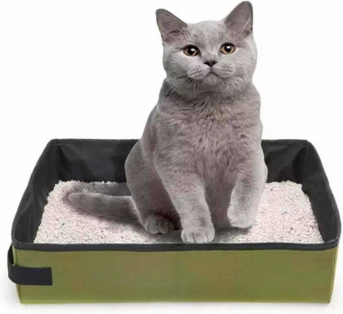 Avont Draagbare reiskattenbak voor katten katjes, opvouwbaar en Avont Draagbare reiskattenbak voor katten katjes, opvouwbaar en
