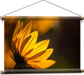 Textielposter - Zijaanzicht van Gele Bloembladeren met Zonlicht - 60x40 cm Foto op Textiel