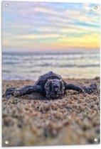 WallClassics - Tuinposter – Babyschildpad op het Strand aan de Zee - 60x80 cm Foto op Tuinposter (wanddecoratie voor buiten en binnen)
