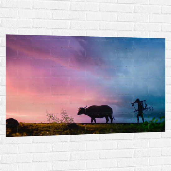 Muursticker - Silhouet van Man werkend met Stier op het Land - 120x80 cm Foto op Muursticker