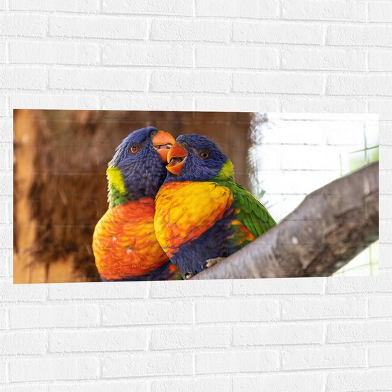 Muursticker - Meerkleurige Lori Vogels op Boomstam - 100x50 cm Foto op Muursticker