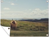 Muurdecoratie buiten Schotse Hooglanders - Gras - Wolken - Dieren - 160x120 cm - Tuindoek - Buitenposter