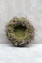Couronne - Krans van mos en bonsai 'Nest' (Ø40cm)