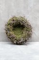 Couronne - Krans van mos en bonsai 'Nest' (Ø40cm)