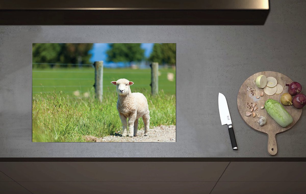 Inductieplaat Beschermer - Klein Lammetje Buiten het Hek - 70x52 cm - 2 mm Dik - Inductie Beschermer van Vinyl