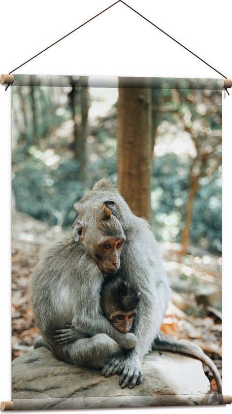 Textielposter - Kleine Apen Familie met Baby in het Bos - 60x90 cm Foto op Textiel