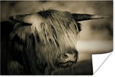 Poster Highlander écossais au museau mouillé papier 180x120 cm - Tirage photo sur Poster (décoration murale salon / chambre) / Poster Animaux sauvages XXL / Groot format!