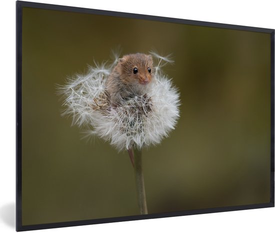 Fotolijst incl. Poster - Muis - Jong - Bloemen - 30x20 cm - Posterlijst