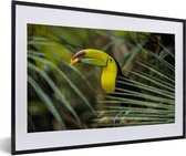 Photo en cadre - Toucan coloré avec un point rouge sur le bec Cadre photo noir avec passe-partout blanc 40x60 60x40 cm - Affiche sous cadre (Décoration murale salon / chambre)