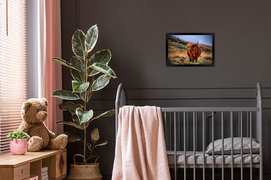 Cadre photo Highlander écossais sur colline noir sans passe partout