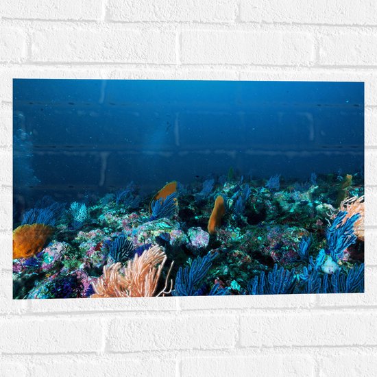 WallClassics - Muursticker - Koraal onder Water - 60x40 cm Foto op Muursticker