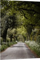 WallClassics - Acrylglas - Weg door de Natuur - 80x120 cm Foto op Acrylglas (Wanddecoratie op Acrylaat)