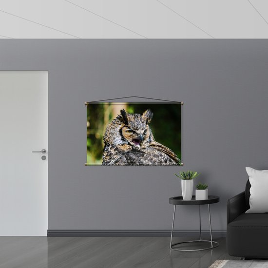 WallClassics - Affiche Textile - Chouette Béante - 120x80 cm Photo sur Textile