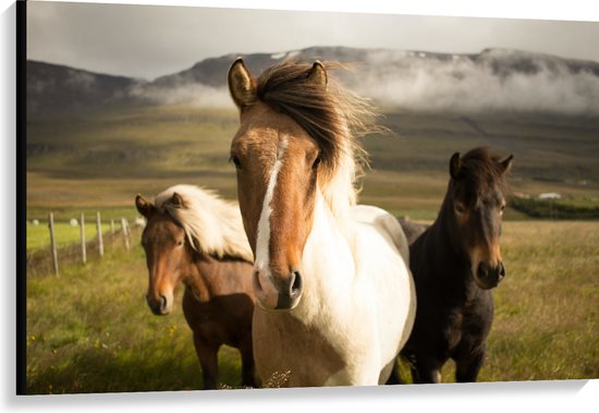 Canvas - Drie Paarden in de Weide - 120x80 cm Foto op Canvas Schilderij (Wanddecoratie op Canvas)