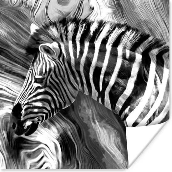 Poster Schilderij - Olieverf - Zebra - Dieren - Zwart - Wit - 30x30 cm