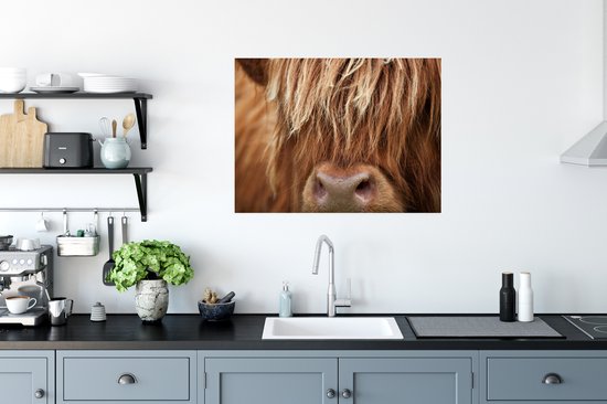 Affiche Highlander écossais - Nez - Cheveux - 80x60 cm