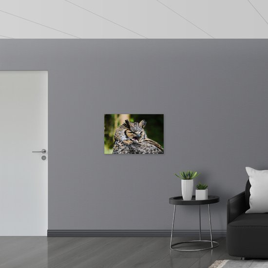 WallClassics - Poster (Matte) - Gaping Owl - 75x50 cm Photo sur Papier Poster avec un aspect Mat