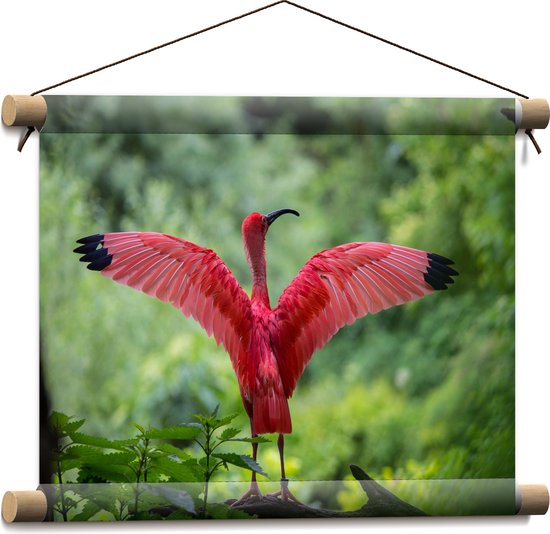 WallClassics - Textielposter - Rode Ibis Vogel in het Bos - 40x30 cm Foto op Textiel