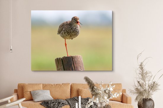 Redshank debout sur une jambe Toile 160x120 cm - Tirage photo sur toile (Décoration murale salon / chambre) XXL / Groot format!