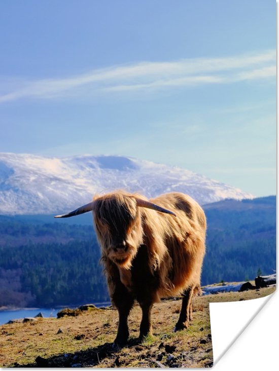 Poster Highlander écossais avec vue montagneuse 120x160 cm - Tirage photo sur Poster (décoration murale salon / chambre) / Poster Animaux sauvages XXL / Groot format!