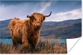 Poster Highlander écossais à un beau lac 30x20 cm - petit - Tirage photo sur Poster (décoration murale salon / chambre) / Poster Animaux sauvages