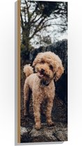 WallClassics - Hout - Vrolijke Bruine Hond - 30x90 cm - 9 mm dik - Foto op Hout (Met Ophangsysteem)