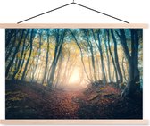 Porte-affiche avec affiche - Affiche scolaire - Forêt - Brouillard - Soleil - Automne - 60x40 cm - Lattes vierges