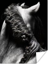 Poster Paard - Vlechten - Zwart - wit - 60x80 cm