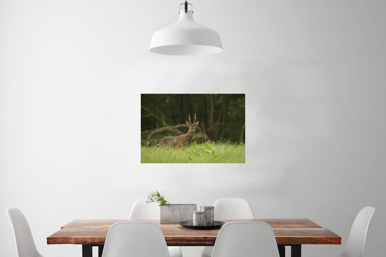 Poster Cerf pâturage papier 60x40 cm - Tirage photo sur Poster (décoration murale salon / chambre) / Poster Animaux sauvages