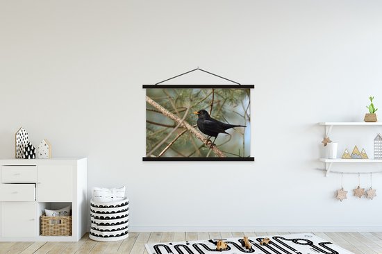 Porte-affiche avec affiche - Affiche scolaire - Vogel - Merle - Branches - Animaux - 150x100 cm - Lattes noires