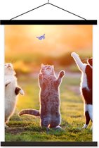 Posterhanger incl. Poster - Schoolplaat - Katten - Vlinder - Zonsondergang - Gras - Natuur - 60x80 cm - Zwarte latten