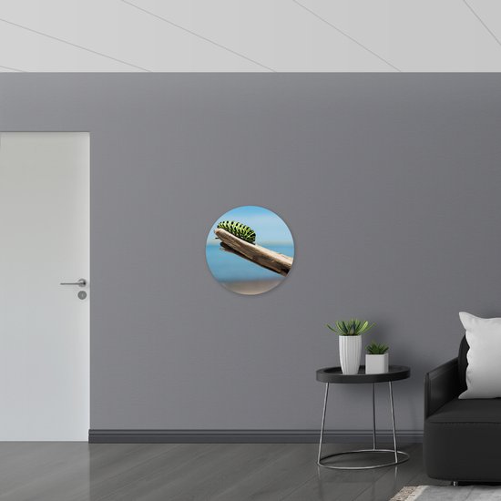 WallClassics - PVC Schuimplaat Muurcirkel - Groene Rups op een Tak - 60x60 cm Foto op Muurcirkel (met ophangsysteem)