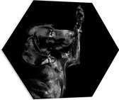WallClassics - PVC Schuimplaat Hexagon - Zwarte Hond Zegt 'Hoi' - 60x52.2 cm Foto op Hexagon (Met Ophangsysteem)