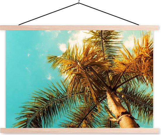 Porte-affiche avec affiche - Affiche scolaire - Palmier - Été - Tropical - 60x40 cm - Lattes vierges