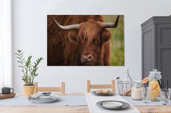Tableau sur toile Scottish Highlander - Oranje - Animaux - 140x90 cm - Décoration murale
