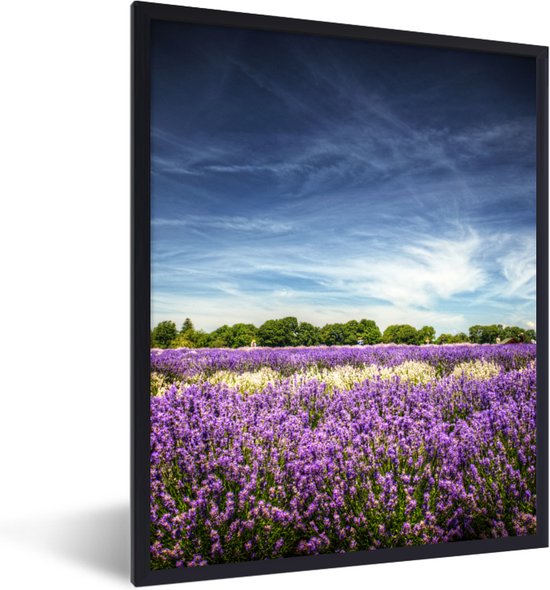 Fotolijst incl. Poster - Blauwe lucht boven lavendel in de natuur - 30x40 cm - Posterlijst