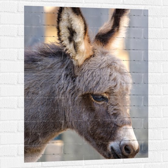 WallClassics - Muursticker - Jeune âne de près - 75x100 cm Photo sur Muursticker
