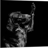 WallClassics - Dibond - Zwarte Hond Zegt 'Hoi' - 80x80 cm Foto op Aluminium (Met Ophangsysteem)