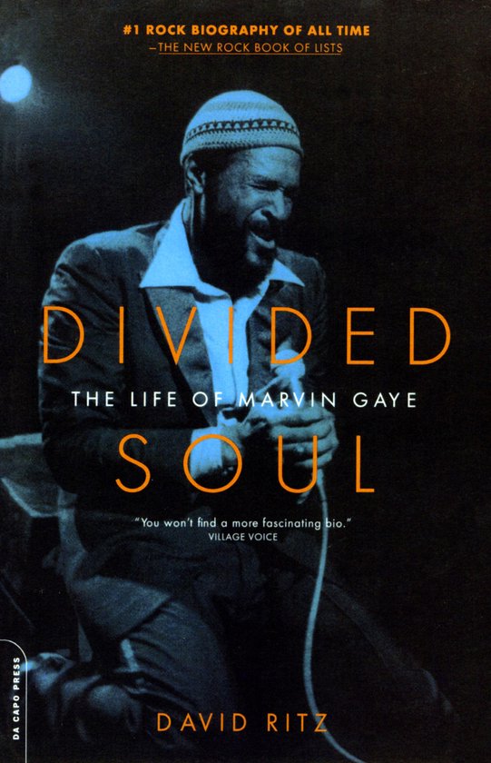 Divided Soul - cover