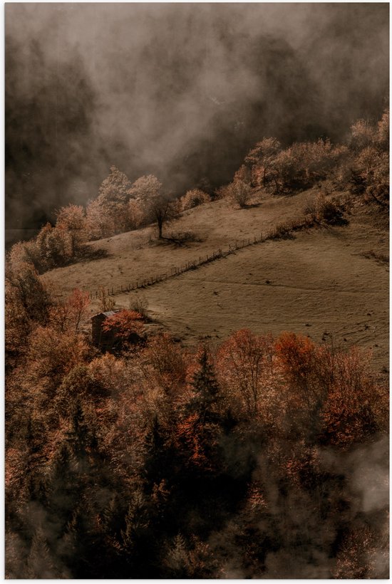 Poster Glanzend – Bomen op Berg met Mist van Wolken - 60x90 cm Foto op Posterpapier met Glanzende Afwerking