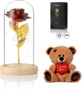 Rose de Luxe en Glas avec LED + ours en peluche - Rose dorée dans une cloche en Verres - Saint Valentin - Connu de La Beauty et la Bête - Cadeau pour petite amie mère elle - Pied léger - Qwality