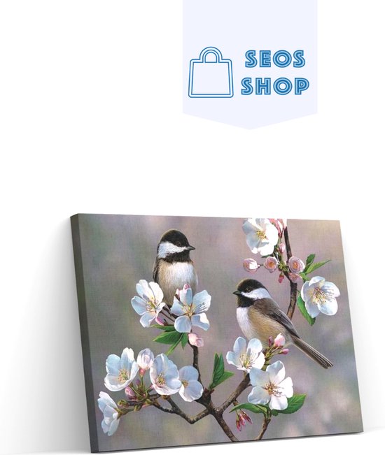 SEOS Shop ® Diamond Painting Volwassenen - Diamond Painting Kinderen - Diamond Painting Pakket Volledig - Vogels op een bloesem - 50x40 cm